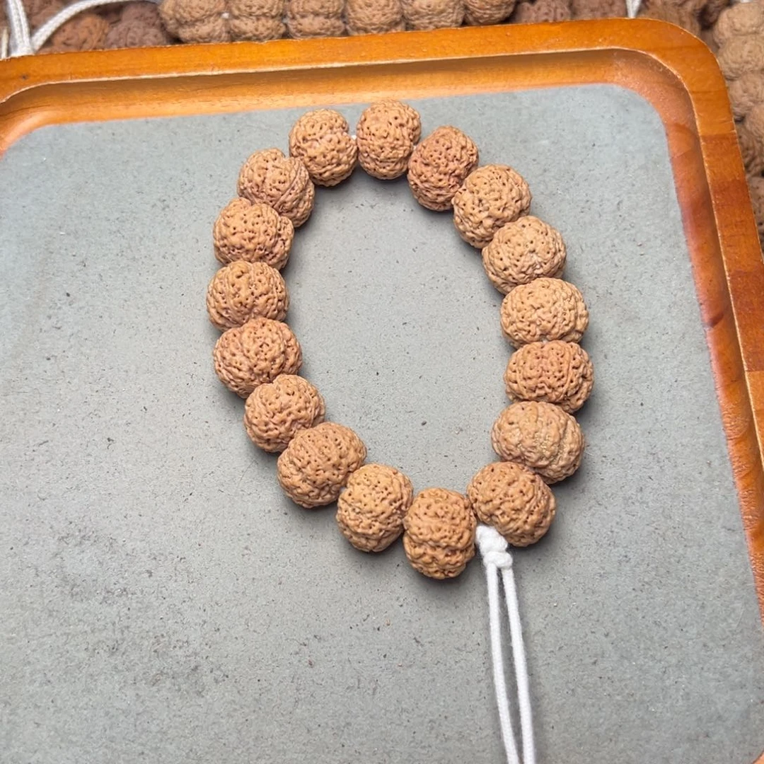 菩提15号金刚菩提蜂王19+