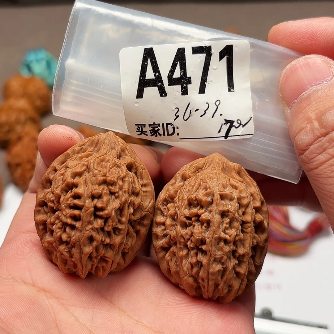 文玩核桃把件36-39蒜头471