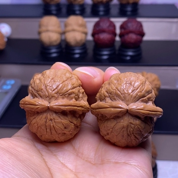 文玩核桃把件金龟玉甲44