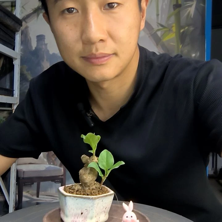 格*中青园艺一物一拍197