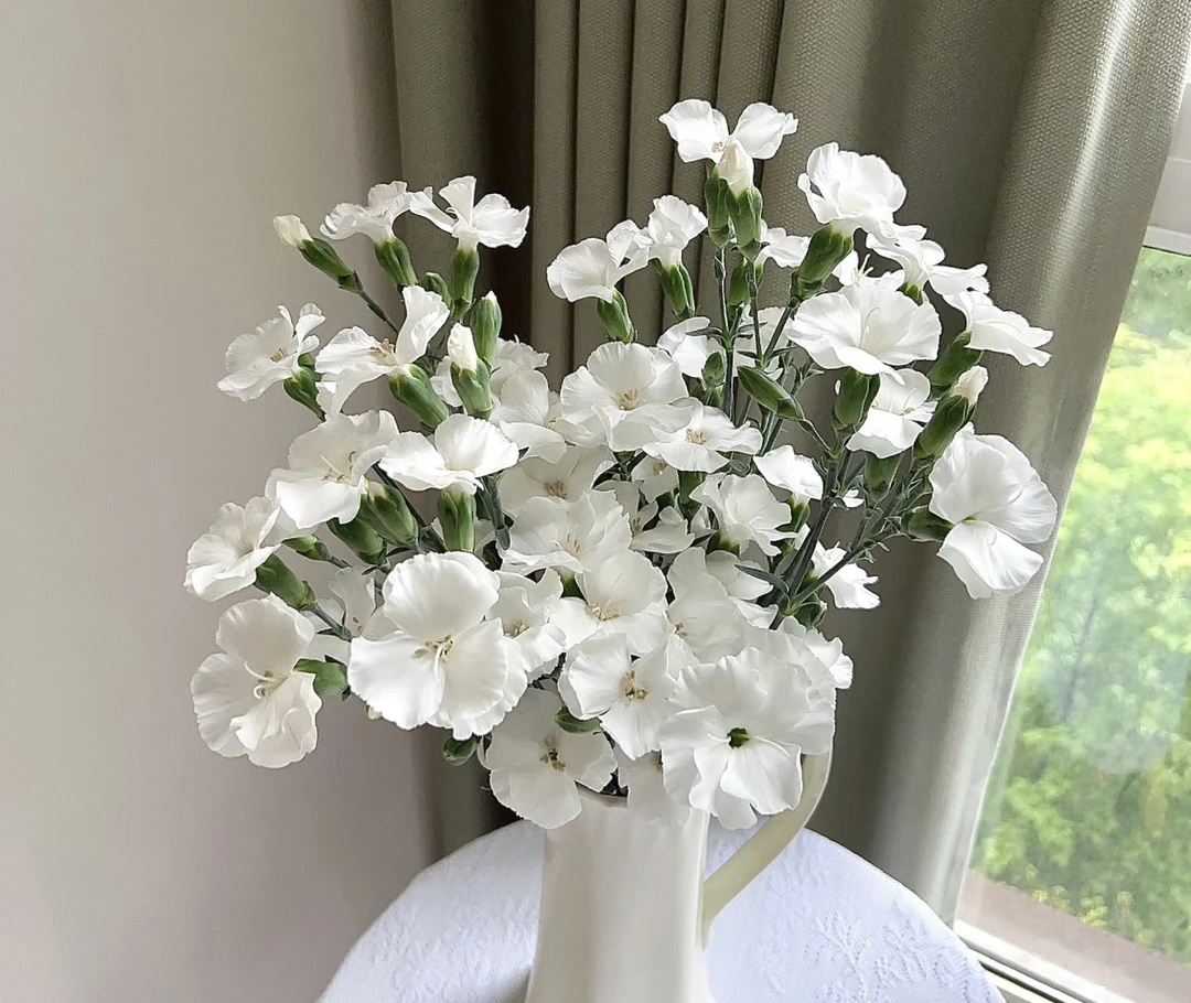 配花艾德多头康乃馨白色单瓣18支【2单顺丰包邮】（10%不售后）