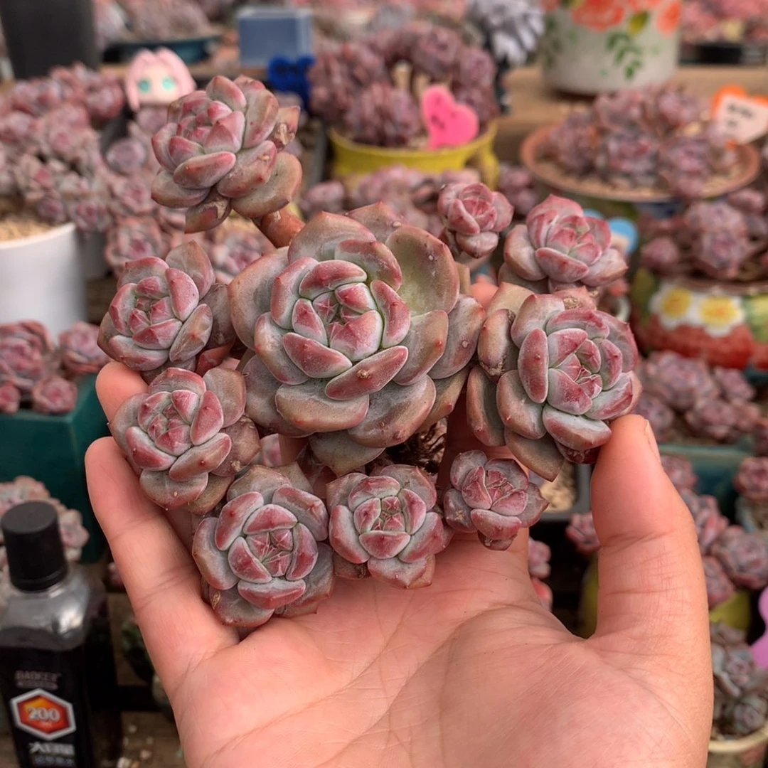 哈哈哈哈哈哈哈哈哈3