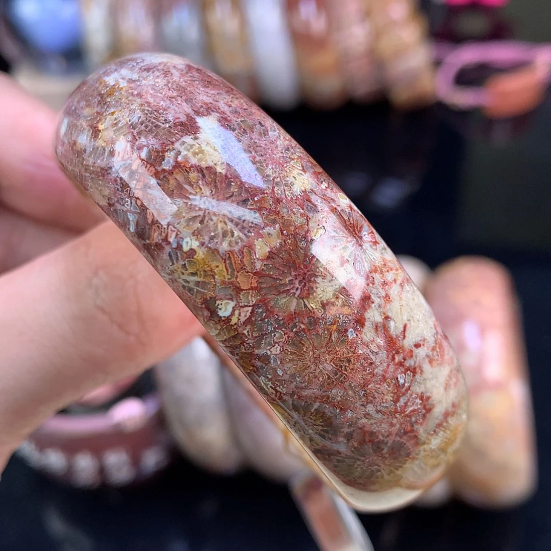 【闪购商品】颈饰未镶嵌硅化珊瑚（珊瑚玉）100号54.6圈彩大花绝绝子