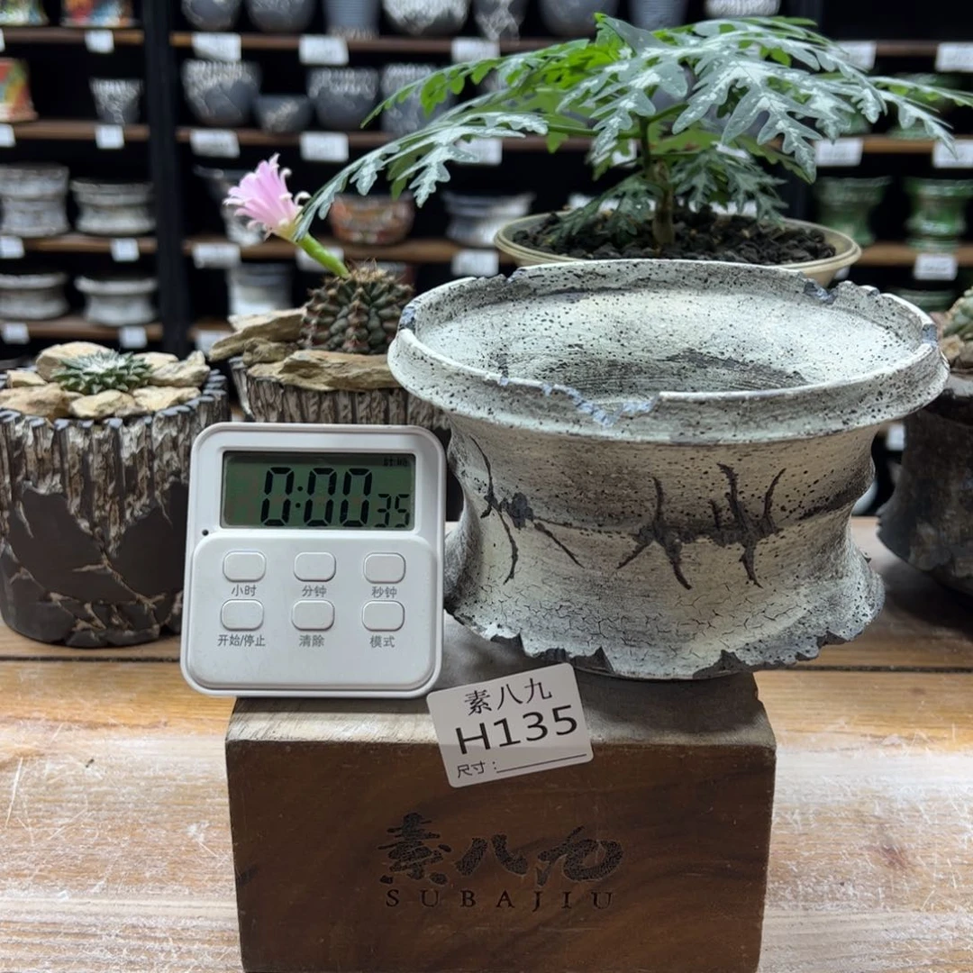 素八九陶瓷内口14.5高10D****T
