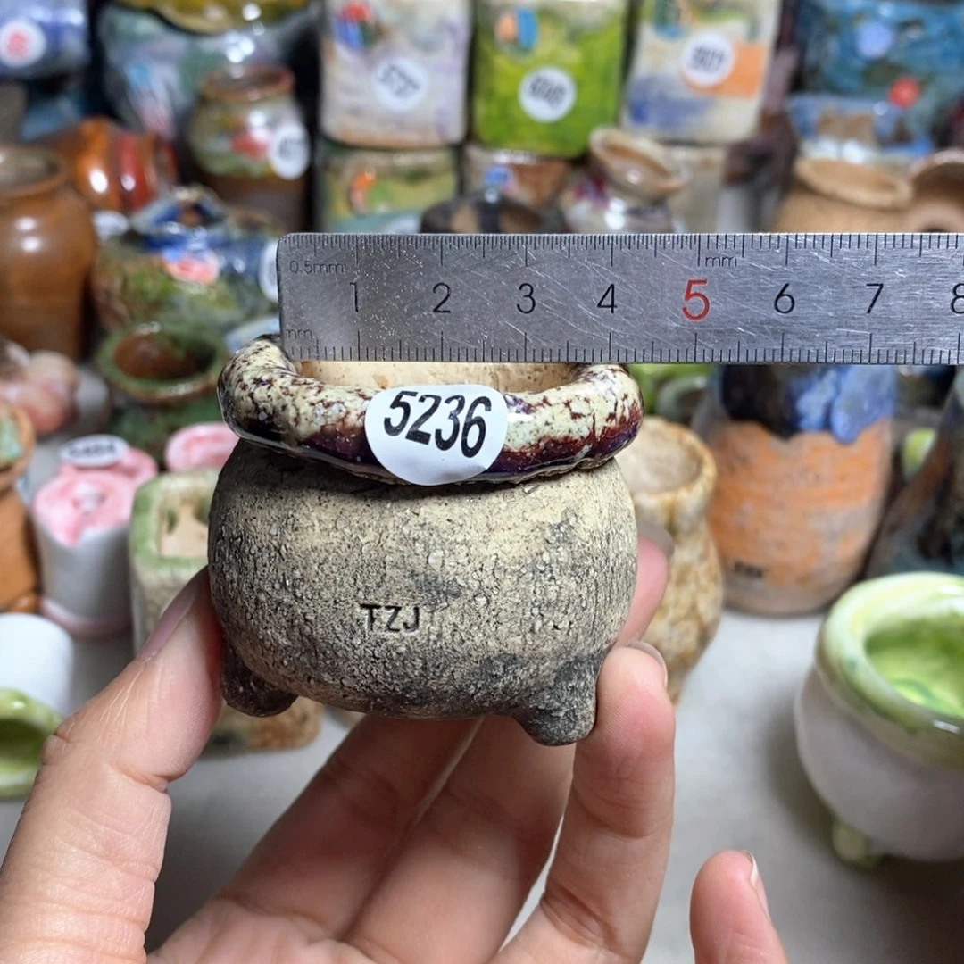 拍3送一个小礼物