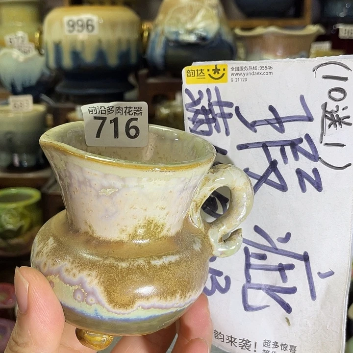 狼盆内口径6高度8