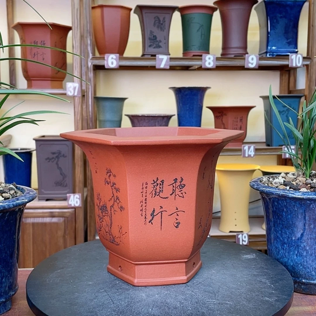 【闪购商品】紫砂花盆兰花455585588568855885