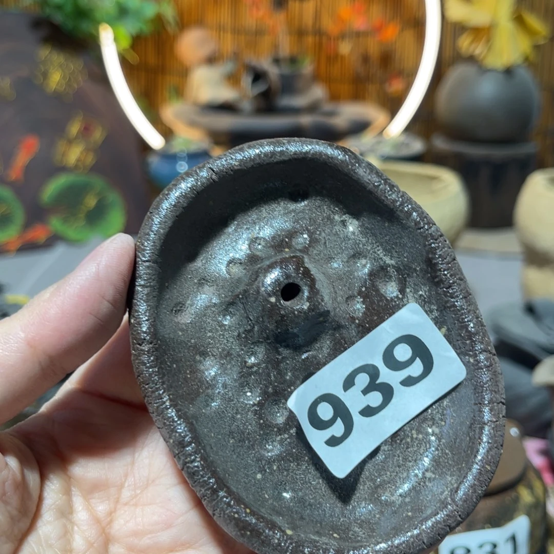 木村信弘柴烧保平