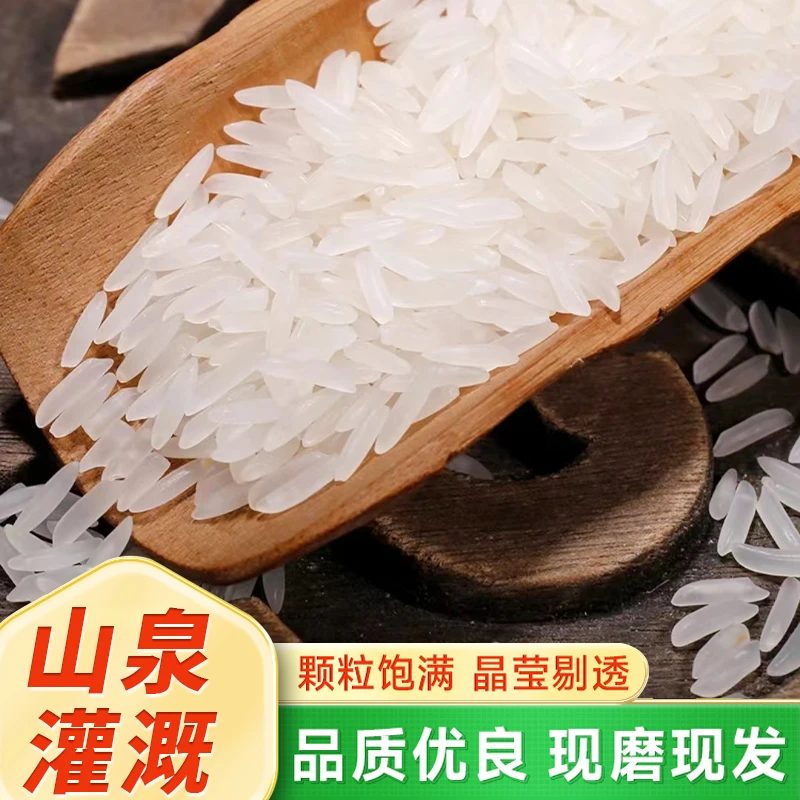 广西寿乡米24年新米猫牙米软糯香甜农家长粒香5-7mm来着壮族老家