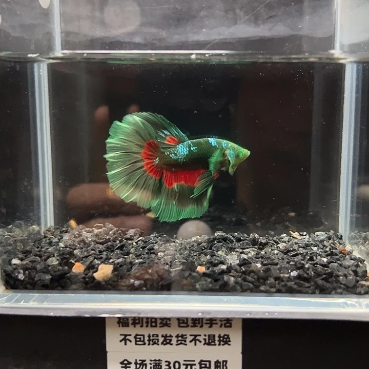 斗鱼满30包邮11日95