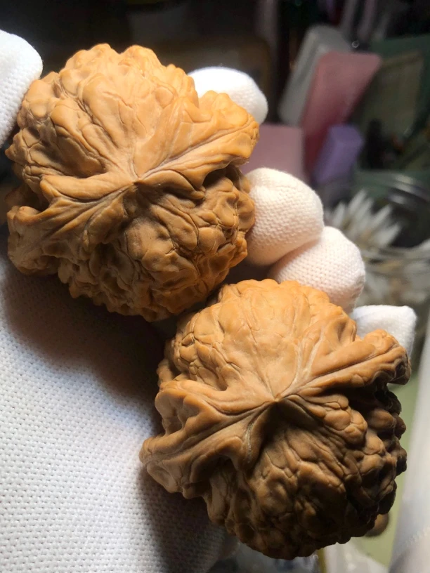 53全品大龙鼎狮子头