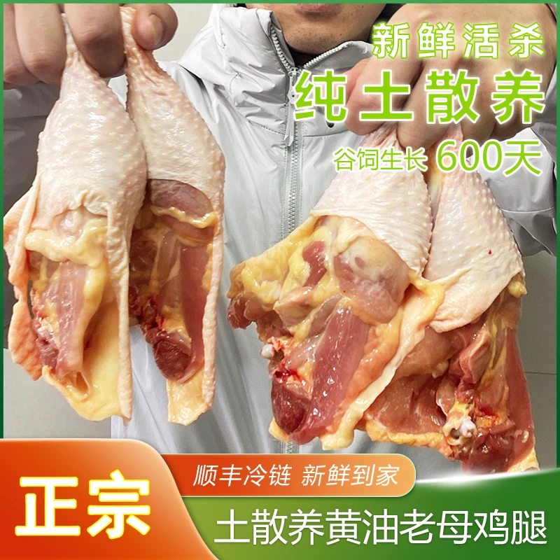 散养600天黄油老母鸡腿新鲜活杀炖汤京东顺丰冷链Z3 包冰率不含冰
