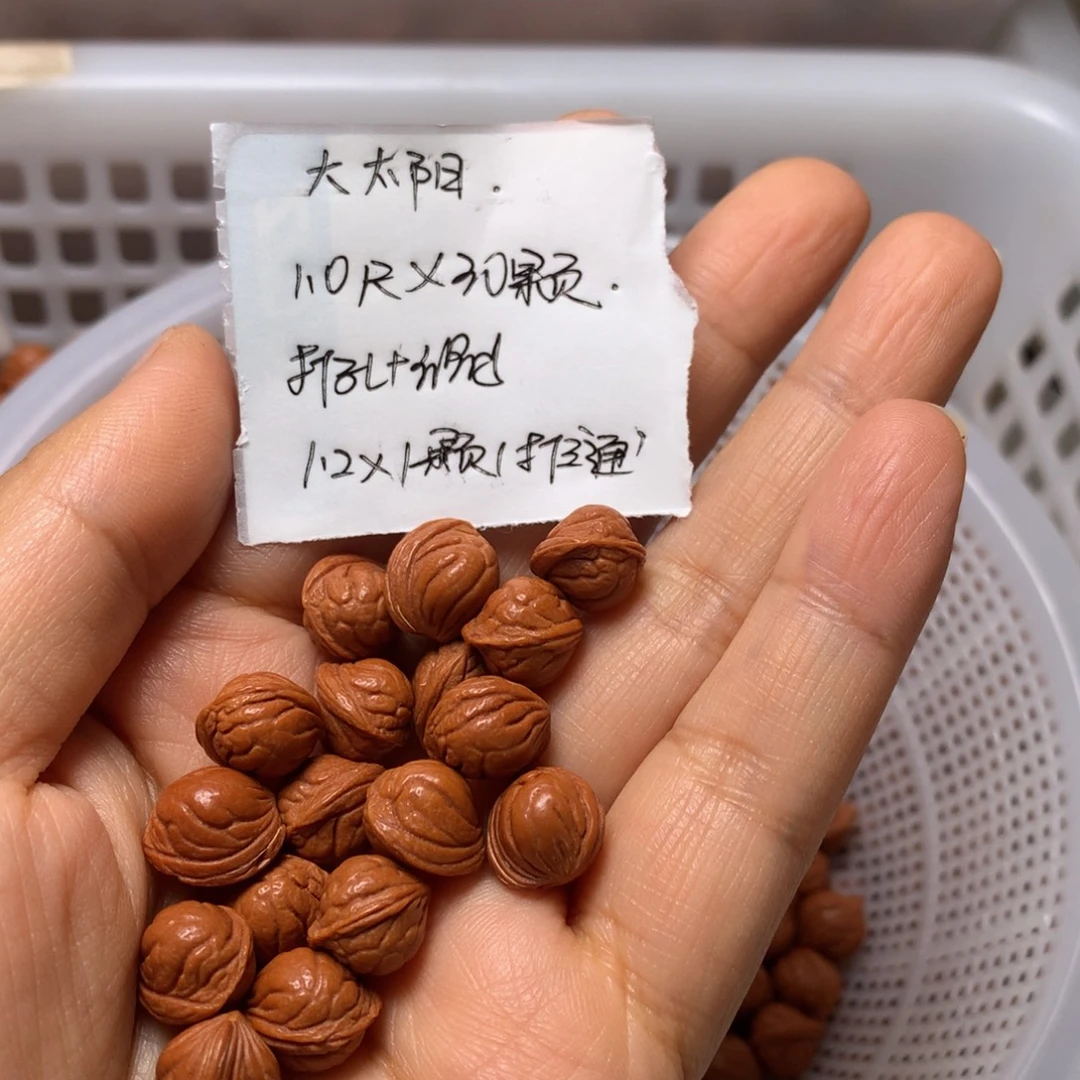 野生龙纹桃核小龙纹