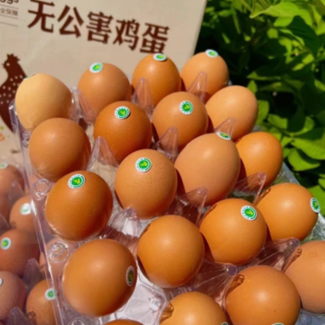 (小美仁优选)鸡蛋，一箱60枚