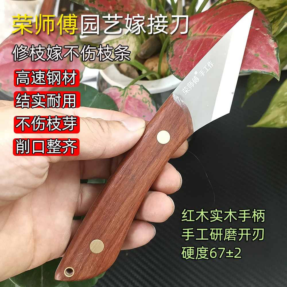 荣师傅手工刀多功能嫁接刀园艺园林专用果树荔枝龙眼黄皮芽接专用