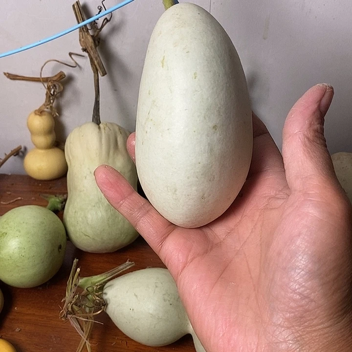 顶***上青皮葫芦小手把件