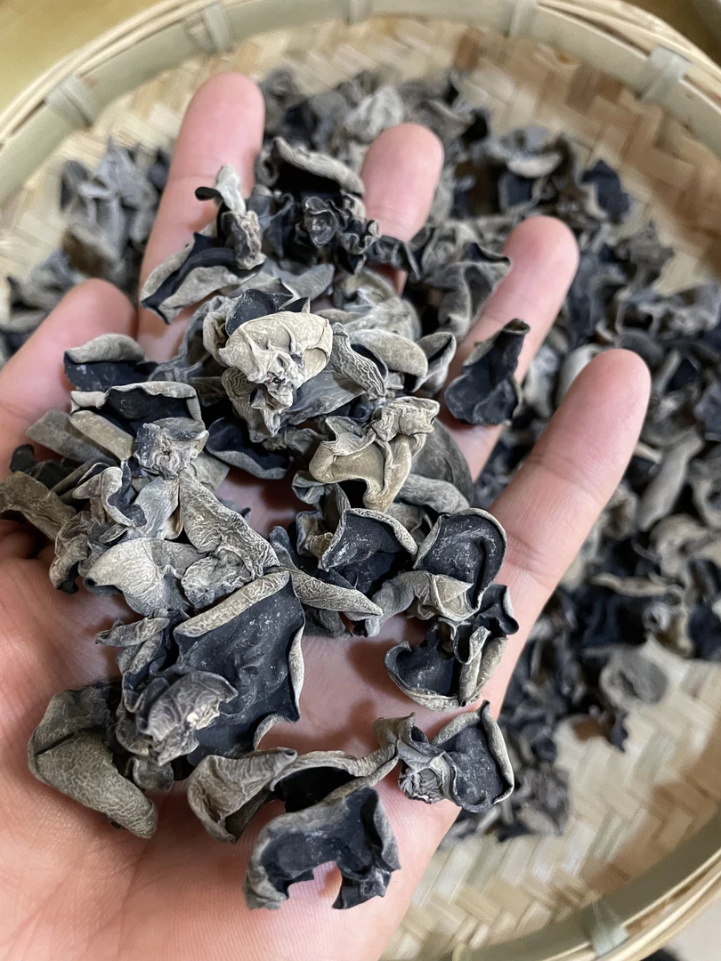 精选好物  干货黑木耳炒菜