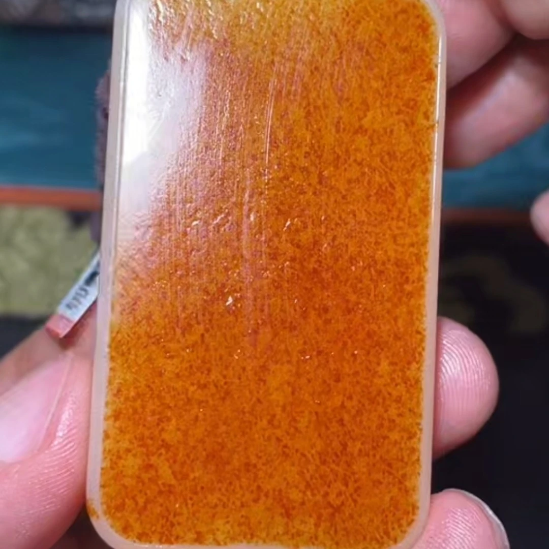 石包多样性拍一发一12月3日 J