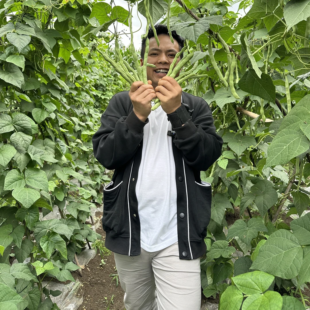 贵州农家自种新鲜四季豆青棒豆芸豆嫩豆片时令蔬菜