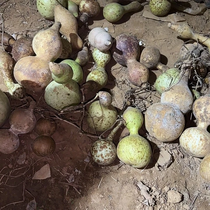 木精品家居葫芦摆件