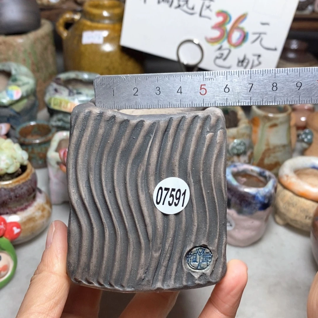 花盆拍3送一个小礼物