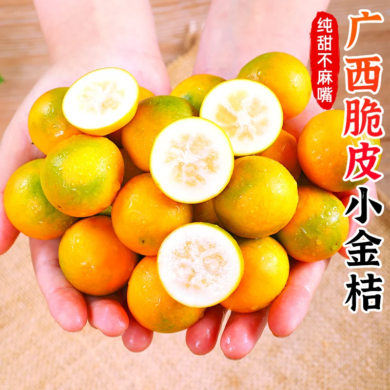 【香甜肉脆】广西脆皮小金桔1-9斤融安小橘子滑皮金桔桔子新鲜水果