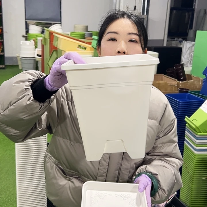 正品方盆口20高22白色6只带托