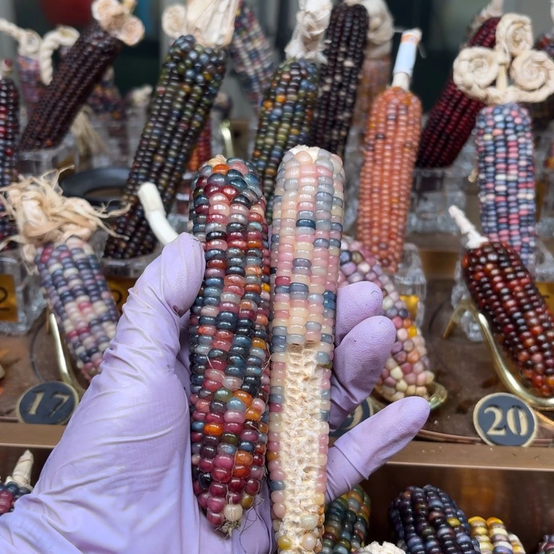 柏香籽/百香籽吊坠玖*