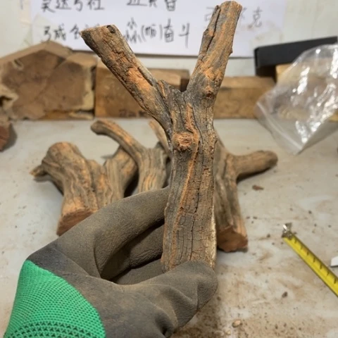 大果紫檀（缅甸花梨）邓*哥