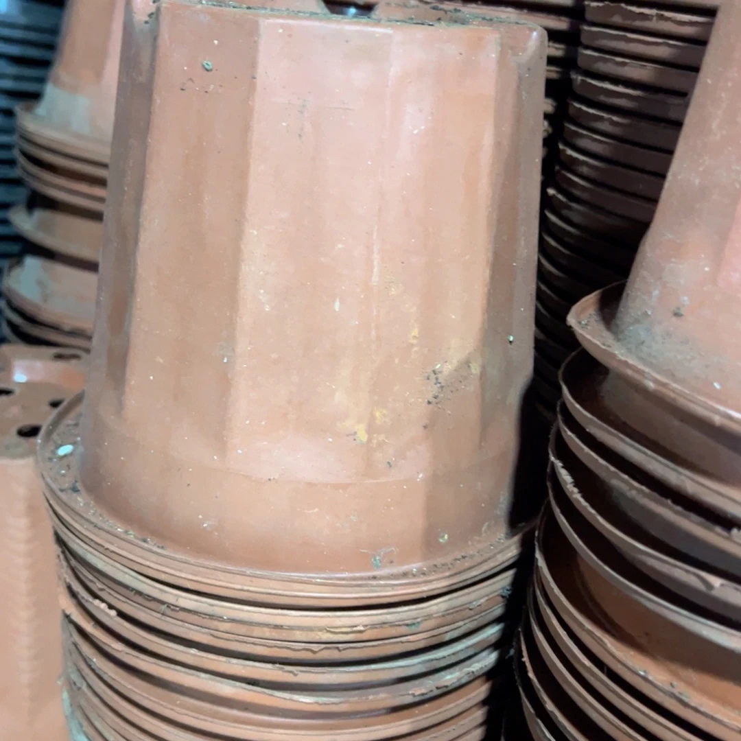 红砖盆19外口径15.5高 15个