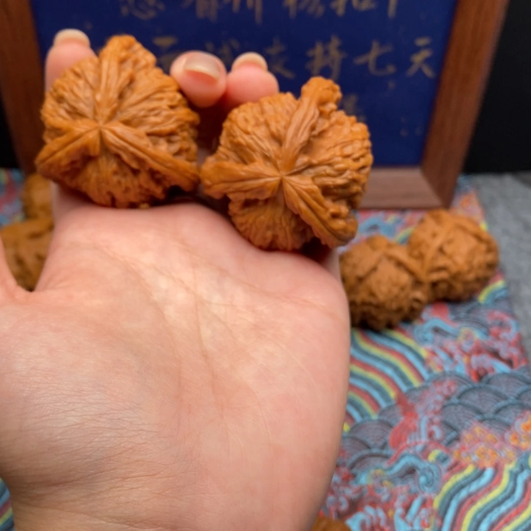【闪购商品】杨*白狮