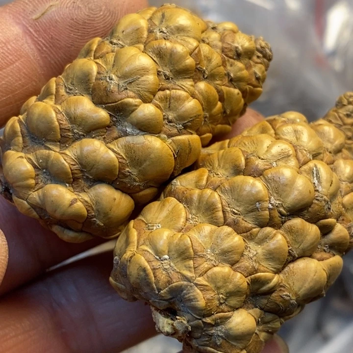 吊坠文玩核桃娜姐69