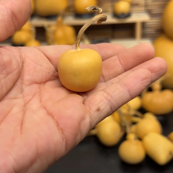 M*456666665569999999