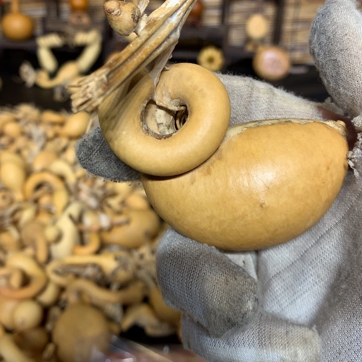 你要吃就不要管他们哈了好想去