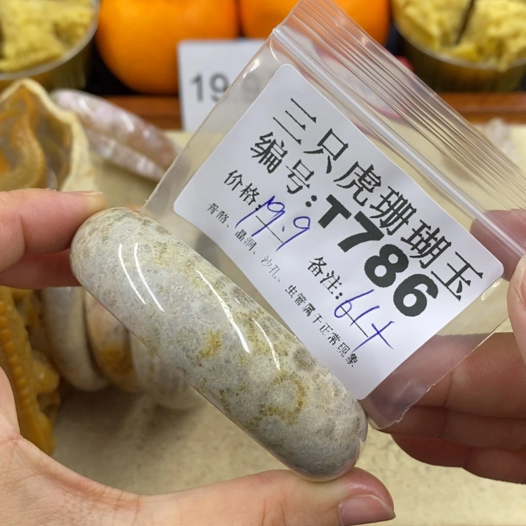 硅化珊瑚（珊瑚玉）1未镶嵌Q*