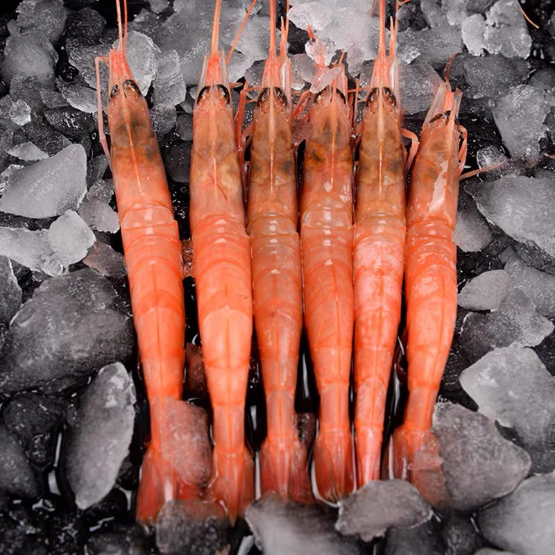 东海野生刺身级红虾