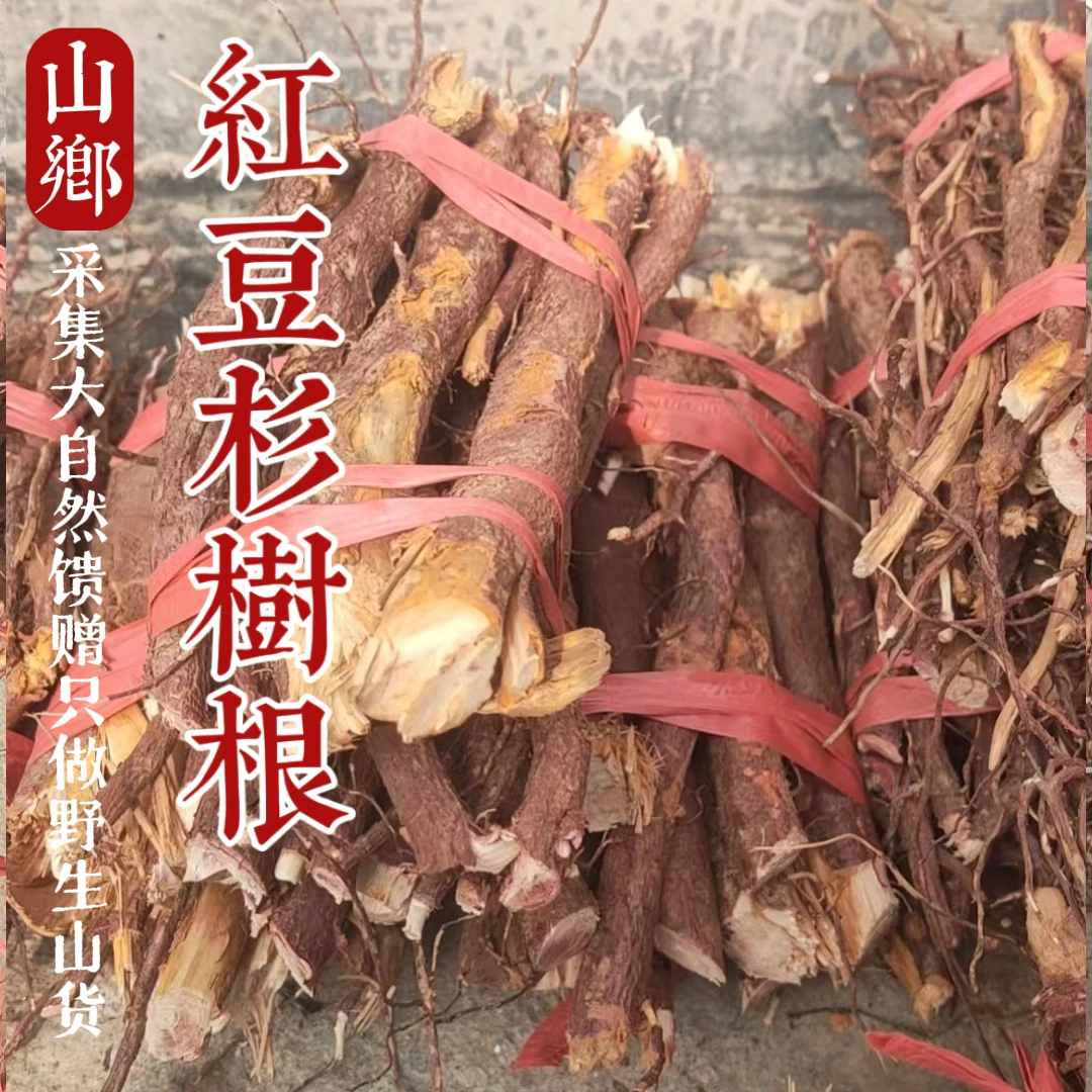 山乡药域 红豆杉根含紫杉醇农家晒干货 正宗红豆杉老根片