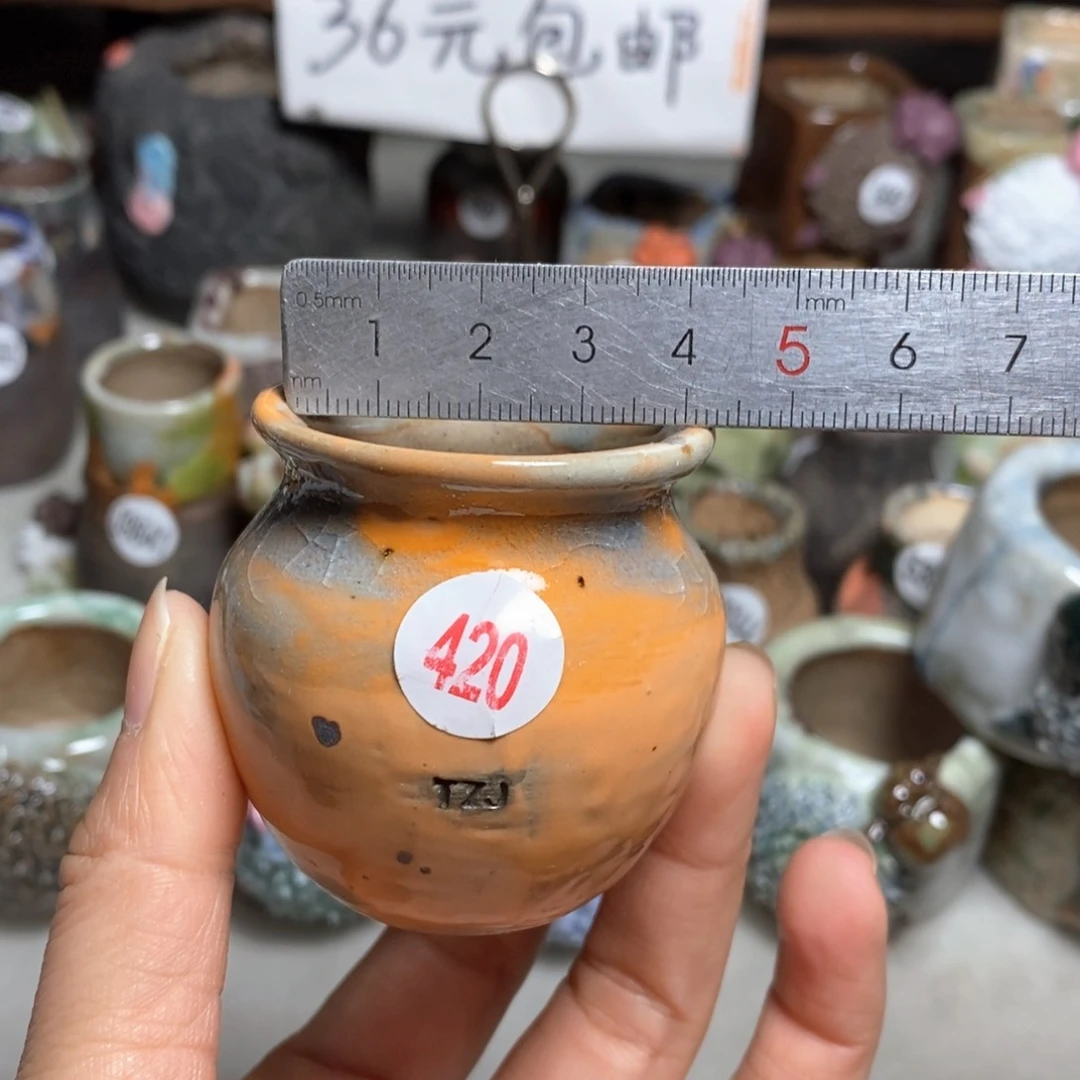 土***?拍5送一个小礼物