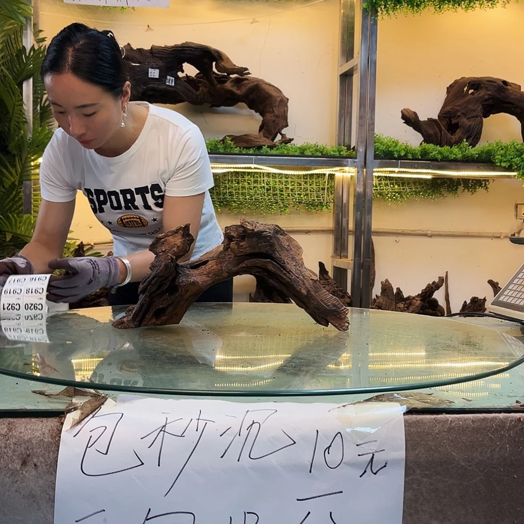 胖***胖柚木沉木鱼缸造景
