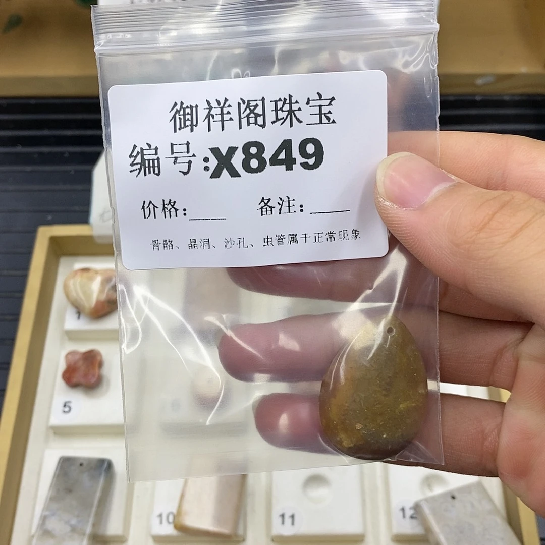 硅化珊瑚（珊瑚玉）未镶嵌颈饰阳***宝
