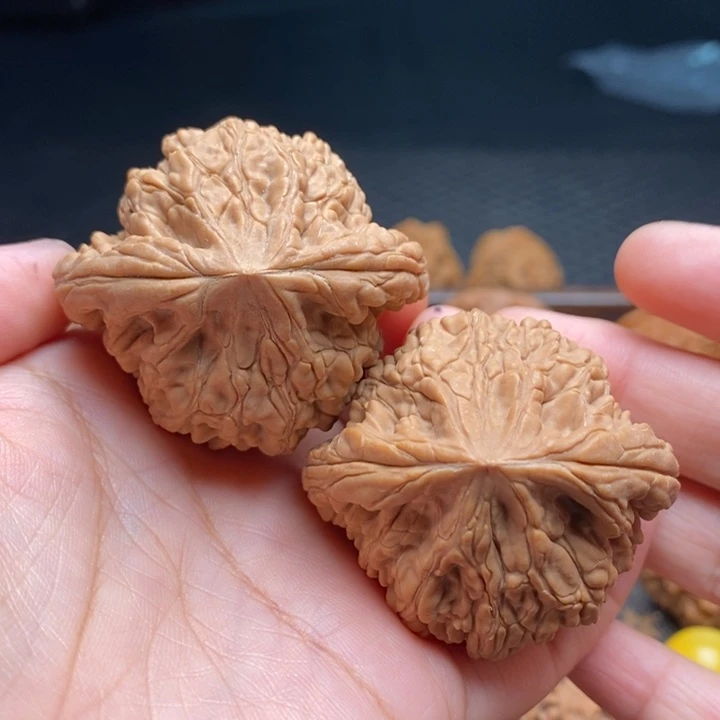 文玩核桃把件毕业虎头王46尺