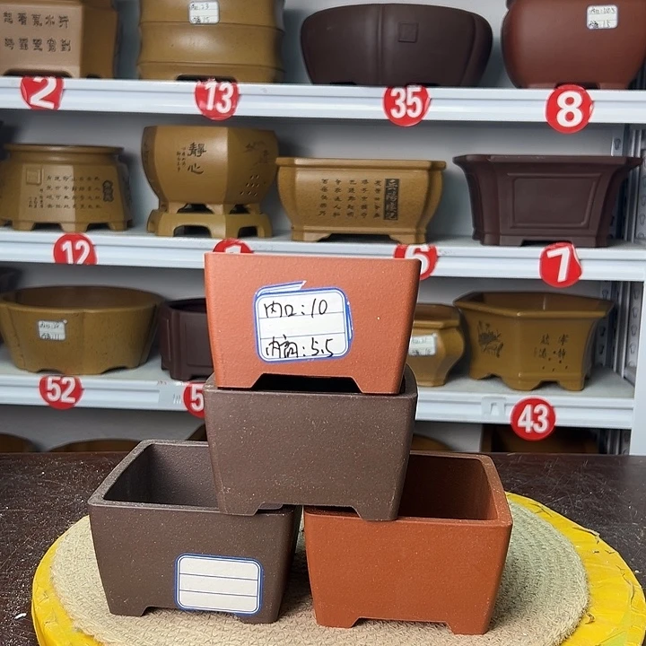 紫砂花盆你在干嘛