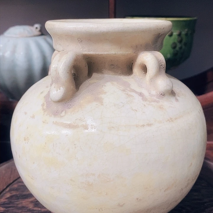 瓶你说的是什么意思啊