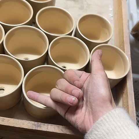 6个·当场直播凑9元发·慎拍·全是福利·