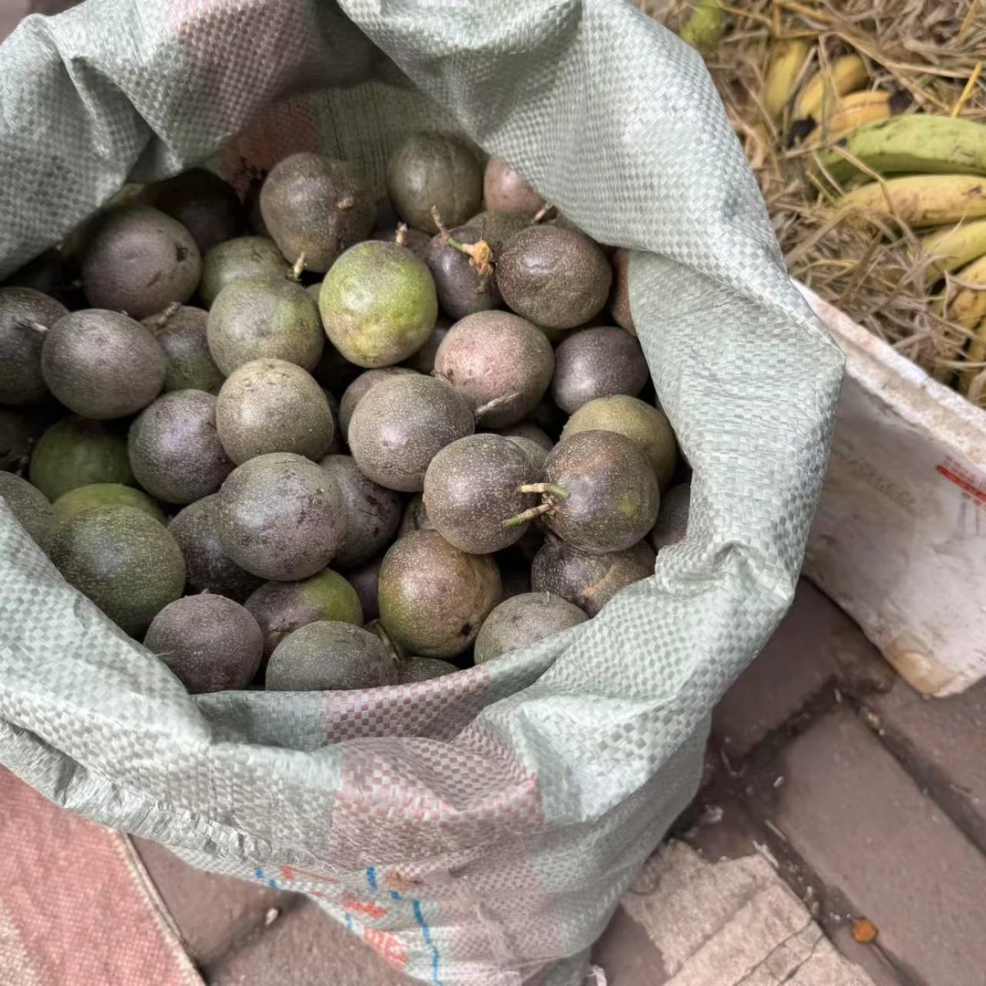 【箱装】广西新鲜满天星紫百香果