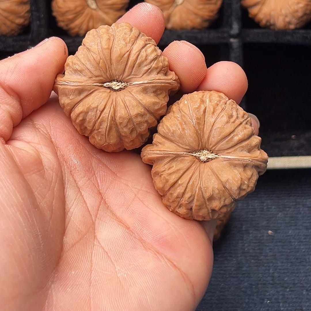 慢***壳吊坠文玩核桃180-1113  蜗壳