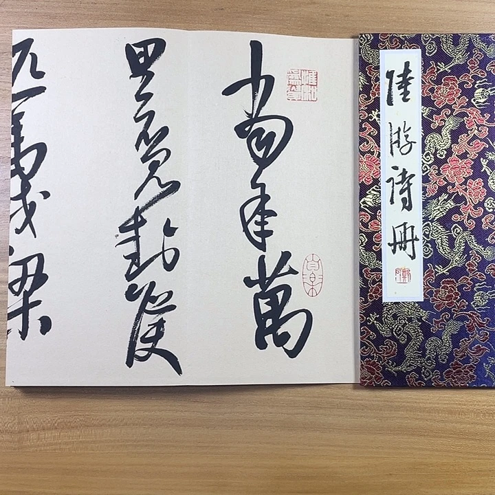 书法中书协会员作品