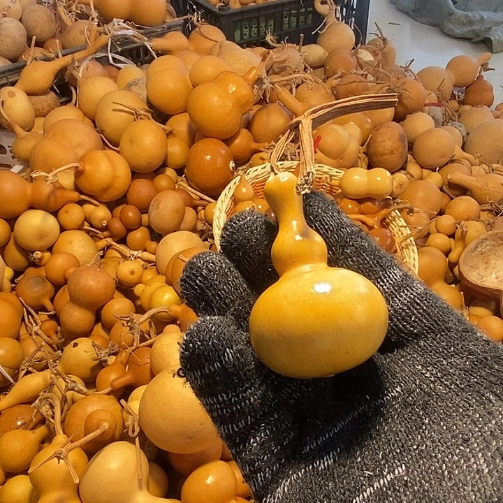 周***u不退不换不保龙头通货微瑕完美主义者勿拍