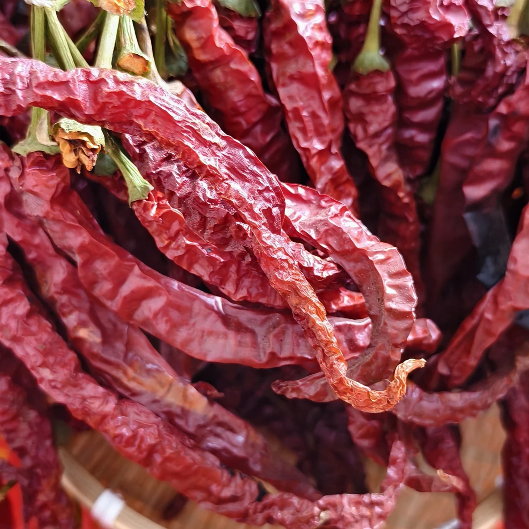 贵州老高山农户猴子自种晒干老品种辣椒红辣椒皱皮香辣做盘子鸡