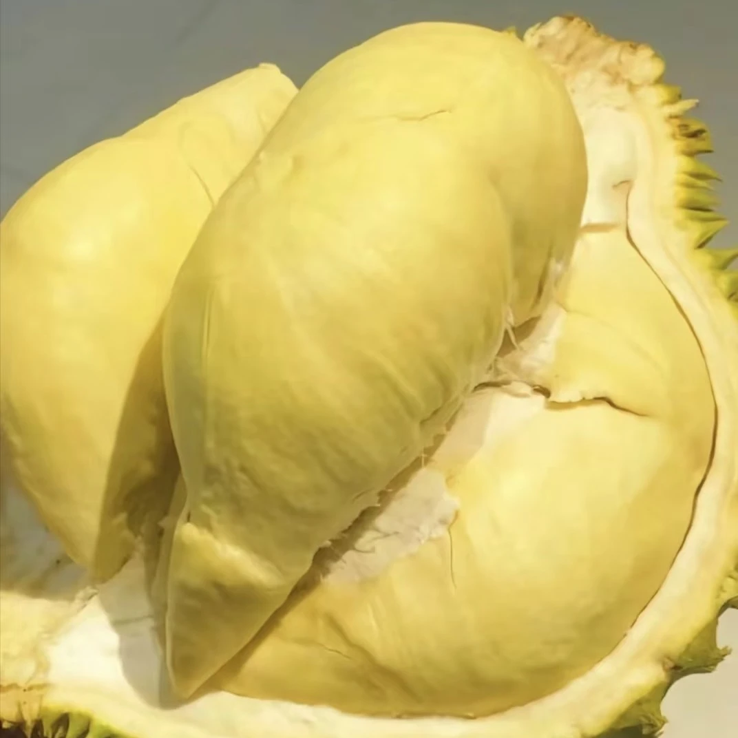 泰国金枕榴莲6.64斤178一物一拍